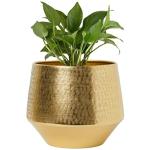 ecofynd 5 inches Eion Jr Metal Plant Pot, Decorative Modern Indoor Planter Flower Pots (Gold)