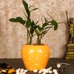 Justoriginals Kulhar Shape with Dot Print Small Ceramic Flower Pot(Color:Yellow) Plant Container Set (Ceramic)