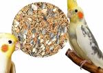 COLOURFUL - Natural & Healthy Premium Birds Food for Parrots, Conure and Cockatiel | Daily Birds Food Seed Mix (1800g)