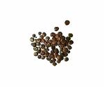 Gree India Acacia Catechu, Khair Seed, black catechu seed_10 gm