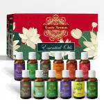 Exotic Aromas Essential Oil Lavender Rose Rosemary Orange Jasmine YlangYlang Tea Tree Eucalyptus Lemongrass Peppermint Lemon Citronella Pack of 12