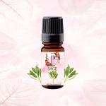 Pink Petal Sage Essential Oil | Salvia officinalis 100% Pure Oil Undiluted -Therapeutic Grade for Healthy Skin, Face, Detoxifies Body, for Coughs, Colds, Aging, Wrinkles & Skin Care - 100ml