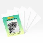 LRS White A4 Size 140 GSM Cartridge Paper (100 Sheets)