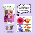 Farmgokart | DAHLIA , DAISY , CINERARIA AND POPPY SEEDS| Pack of 4 Winter Season Flower Seeds | (FC-47)