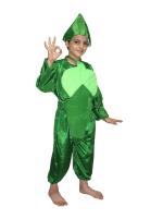 Kaku Fancy Dresses Lady Finger Vegetable Costume -Green, 10-12 Years, For Boys & Girls