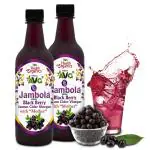 AVG Jambola- Jamun Vinegar with Mother, Natural & Unfiltered- 500 ml | pack of 2