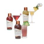 BARTISANS Gin Cocktail Mixer Combo 400ml x 3 bottles Tonic Water Fruit Juice Ginger Mojito Syrup