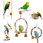 Sage Square Wooden Bird Toys Combo Ladder Bowl Perch Swing Hanging For Budgie Parrot Cockatiel Parakeet