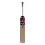 SS Josh Cricket Bat For Mens and Boys (Beige, Size -5) | Material: Kashmir Willow | Lightweight | Free Cover | Ready to play | For Intermediate Player | Ideal For Leather Ball