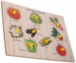 Childgossip 100% Best Price Wooden Learning Educational Vegetables Names Board for Kids (Multicolor)