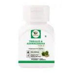 Vaddmaan Tribulus Terrestris (Gokshura) with KSM-66 Ashwagandha for Men, Male Vitality Supplement (Pack of 1)