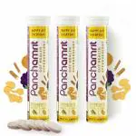 Panchamrit Gut Health Effervescent Tablets for Adults & kids I Goodness of Mulethi, Ginger & probiotics I Improves Digestion, Reduces Heartburn & Acid Reflux I 20 Tablets, Zest Lemon Flavour Pack of 3