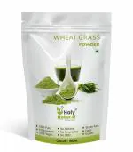 Holy Natural Wheat Grass Powder (100gm), Support Immunity Booster & Super Food, Dietary Supplement, Boost Energy Power, Improve Digestion System, Support Weight Loss.