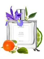 EM5 Icon Perfume for Men | Aromatic Citrus Fresh Spicy | EDP Spray Strong and Long Lasting Spray | Luxury Gift for Him