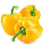 PARYAVARAAN Capsicum Yellow Seeds Hybrid Vegetable Seeds Hybrid F1 Seeds for Home Garden All Season (10 Seeds)