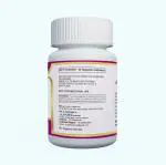 ANJIX Ashwagandha Withania Somnifera Extract 2.5 Percent Withanoloids, 500 mg (60 Vegetarian Capsules) Inactive