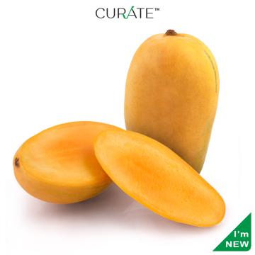 Mango Kesar Ratnagiri Premium Indian 3 Pc (Approx 0.75 kg - 1.05 kg)