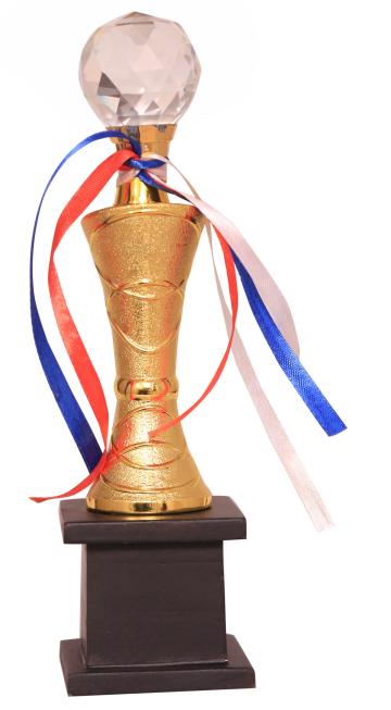 HOMESHOPEEZ Golden Trophy With Crystal For Corporate - Awards - Sports - School Functions - Gift Trophy  (22 CM)