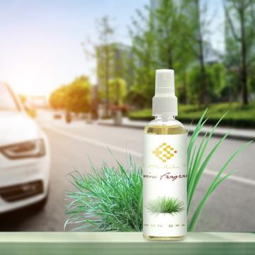 FullHint Car Air Freshener/Car Perfume, Lasts more than 500 Sprays ,100ml (Lemongrass)