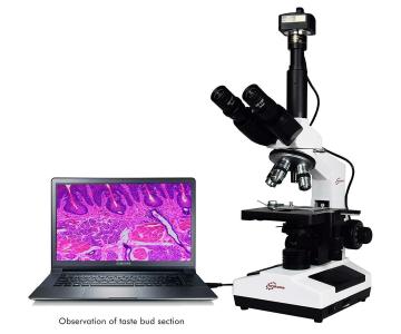 ESAW Optscopes Classic 40X-2000X Digital Microscope With 3.1Mp IS-300 CMOS Camera For Education Pathology Research And Teaching PM-5-3.1