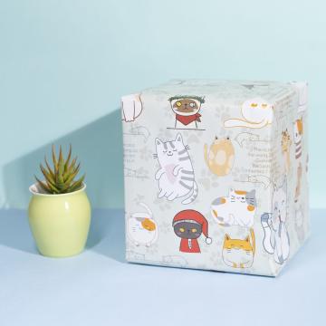eVincE Pastel Cat Gift Wrapping Paper Roll with Facts | Set of 10 Sheets | 70 x 50 cms Large Wraps
