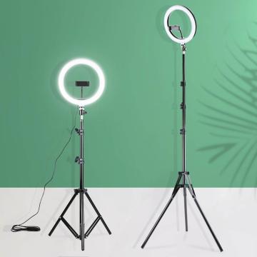 KSBOY Premium 7 Feet Metal Tripod With 12 inch LED Ring Light (Supports Up to 2500 g)