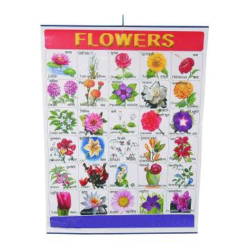 CRAFTWAFT'S FLOWER ROLLING CHART (24X20INCH) Photographic Paper (24 inch X 20 inch, ROLLED)