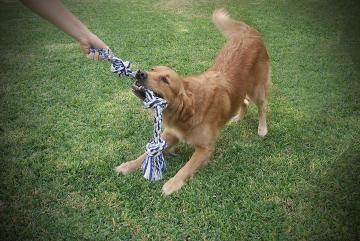 PINDIA Durable Washable Chew 3 Knot Rope Toy For Small To Big Dogs