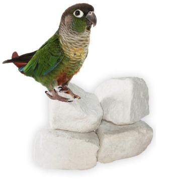 Parrots Wizard Natural Mineral Block For Birds - 210 g