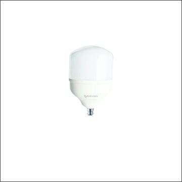 Rashmi Power Tech B22 White LED Bulb 30 W