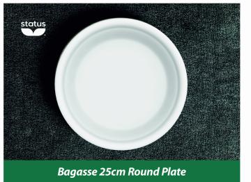 Status Bagasse Disposable Plate (Pack of 25)