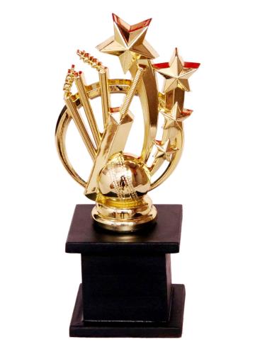Homeshopeez Golden Cricket Award Trophy  (22 CM)