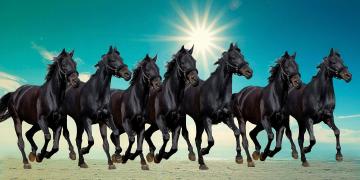 Elegance Vastu 7 Running Black Horses Canvas Painting - 48 X 24 Inch