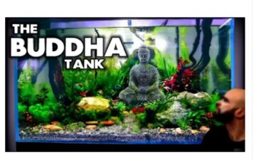 JAINSONS PET PRODUCTS Ancient Look Buddha Statue for Aquarium Pond Fountains and Water Fall Decorations, 1 Piece