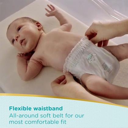 pampers premium care pants xl