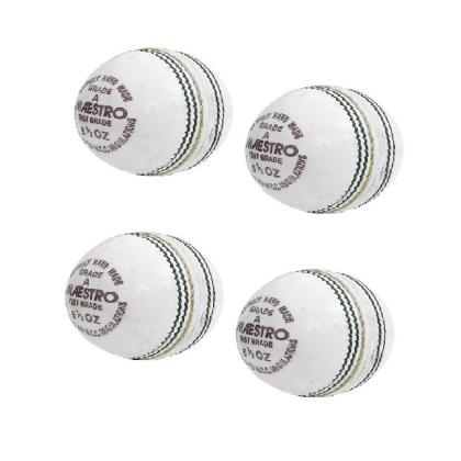 DSC Pace 20 Cricket Lederball - Premium Quality Für Männer & Jungen