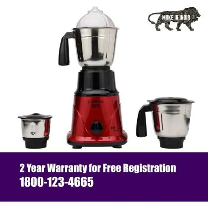 blueberry mixer grinder price