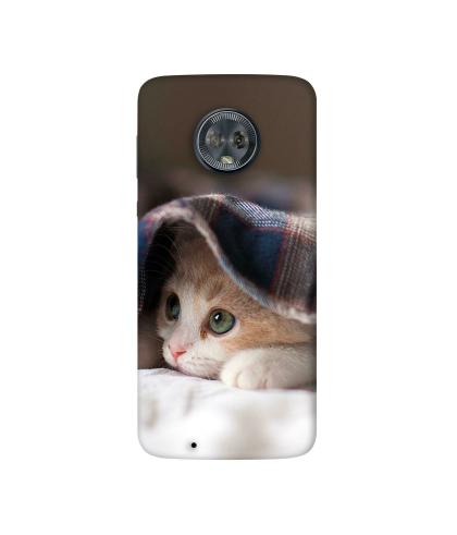 Casotec Sleepy Kitten Design 3D Printed Hard Back Case Cover for Motorola  Moto G6 - JioMart