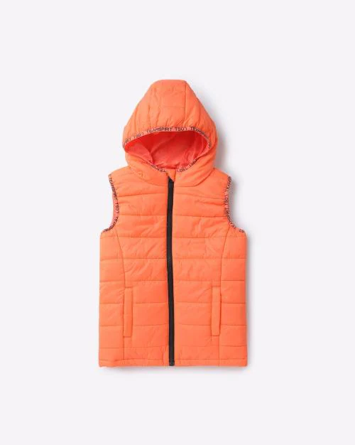 Basic Quilted Hooded Gillet