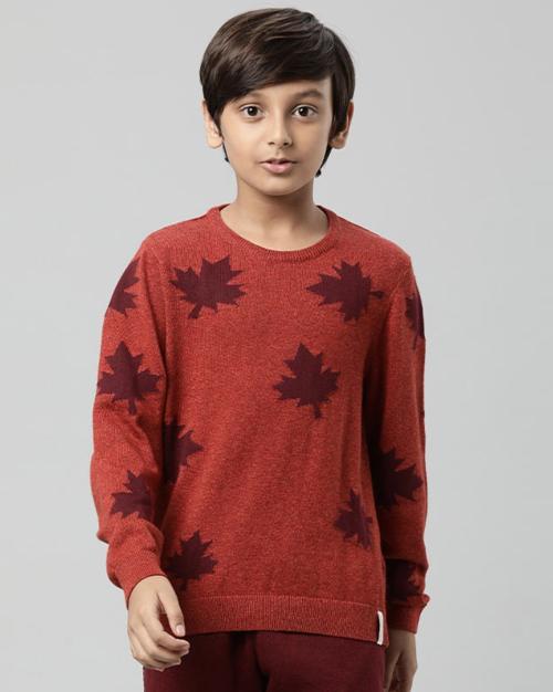 Boys Knitted Regular Fit Crew-Neck Sweater
