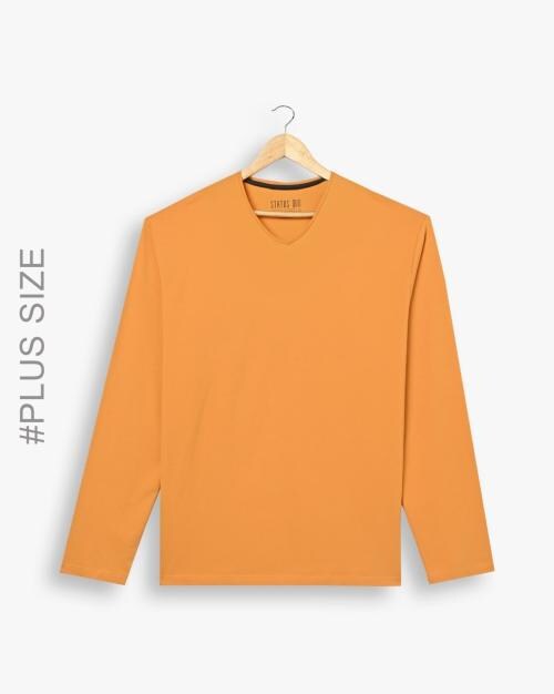 Buy Regular Fit V-Neck Full-Sleeves T-Shirt Online at Best Prices in ...