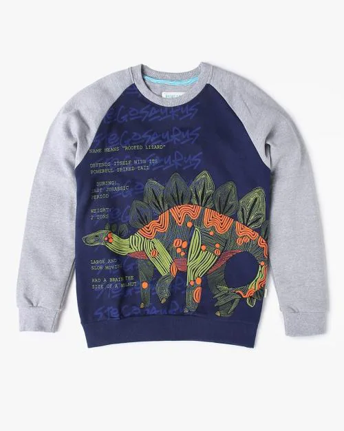 Dinosaur Print Crew-Neck Sweatshirt