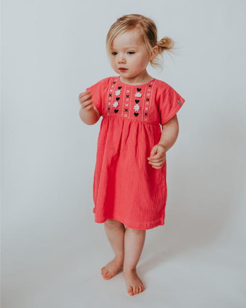 Embroidered A-Line Dress