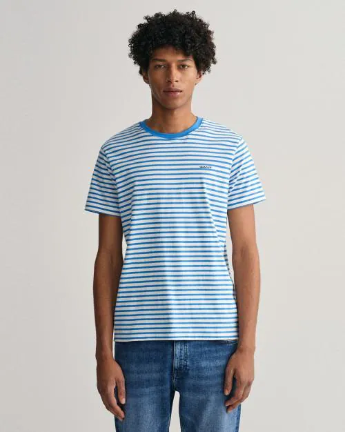 Regular Fit Striped Crew-Neck T-Shirt