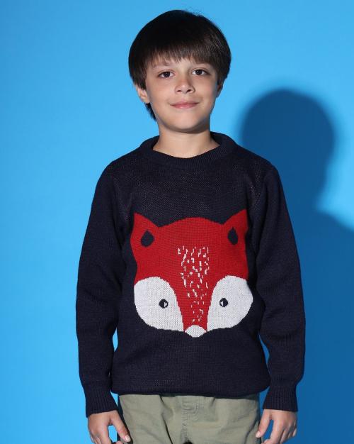 Boys Regular Fit Sweater
