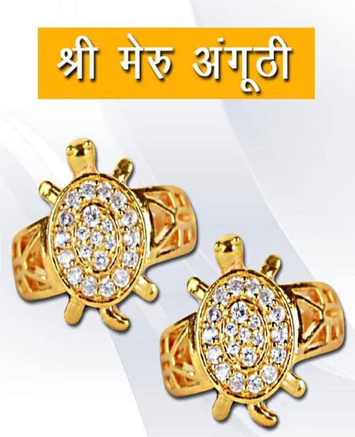 mahadevam When the demons and deities were trying to skim the sea to get the nectar Lord Vishnu had incarnated himself into a tortoise.