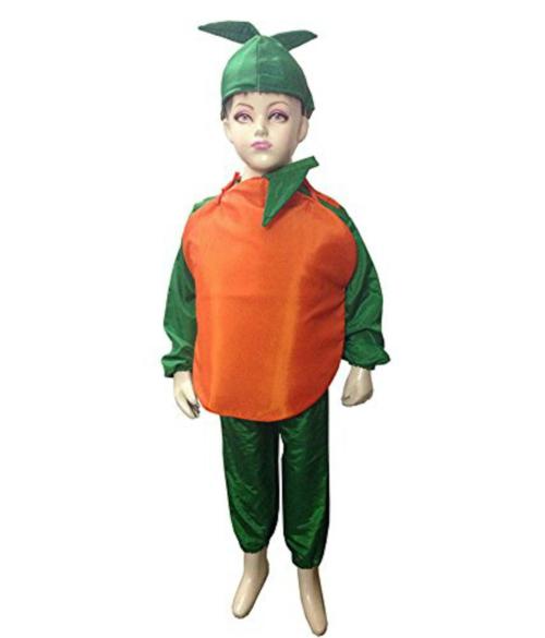 Fancydresswale Kids Orange Orange Fruit Fancydress Costume (5-6 Yrs)