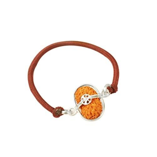 Rudra Centre Seventeen Mukhi Rudraksha Bracelet in Silver Basket with Elastic