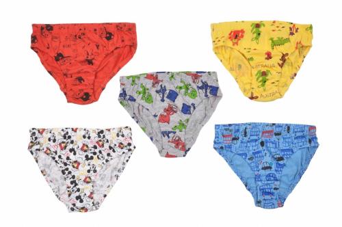 Boys Printed Cotton Blend Briefs_Multicolor_3 - 4 Years_Pack of 6