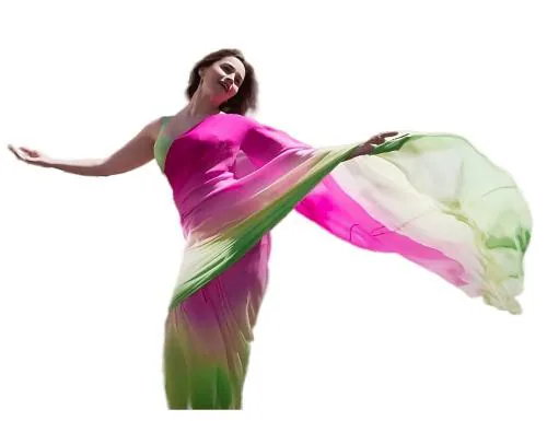 Sidhidata Women's Georgette Printed Rocky Aur Rani Ki Prem Kahani Alia Bhatt Saree With Unstitched Blouse Piecee (Alia Rocky Or Rani_Multicolour) Multicolour